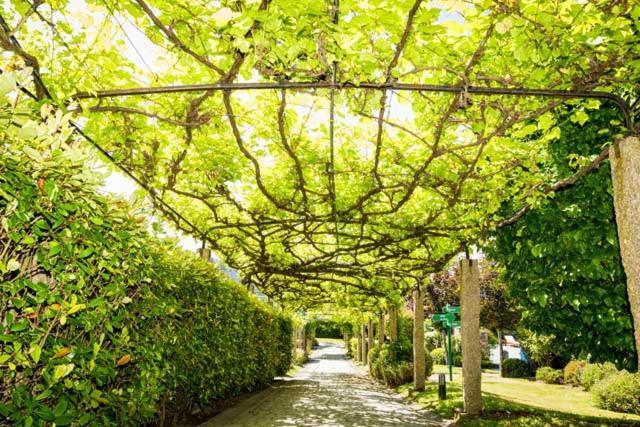 Pazo Do Rio Ξενοδοχείο A Coruña Εξωτερικό φωτογραφία